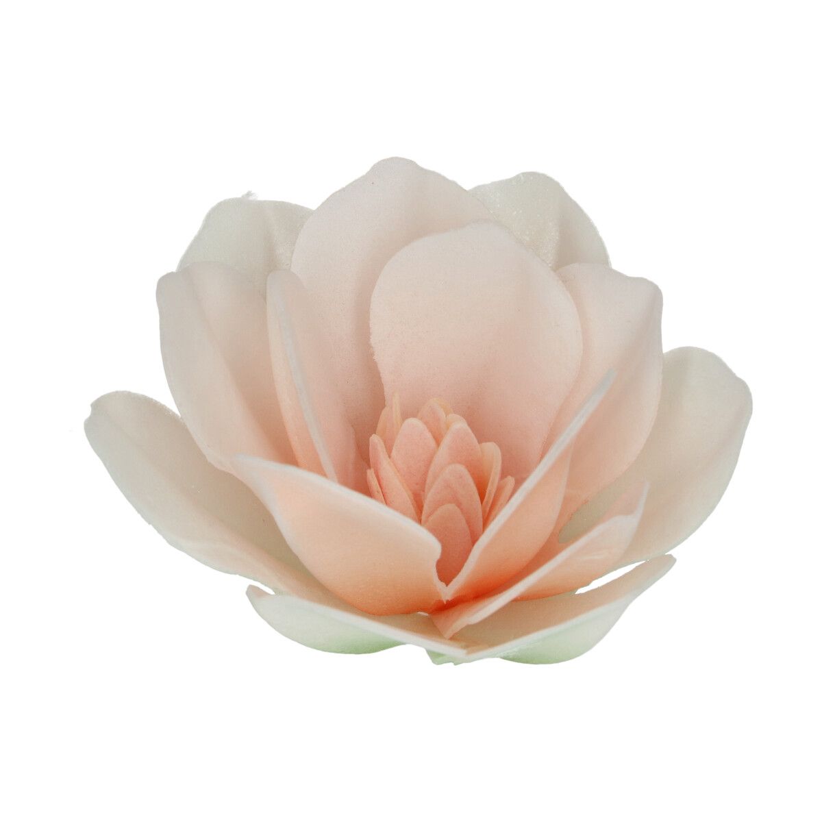 Essbare Papierblumen Deluxe Magnolie Weiß Groß