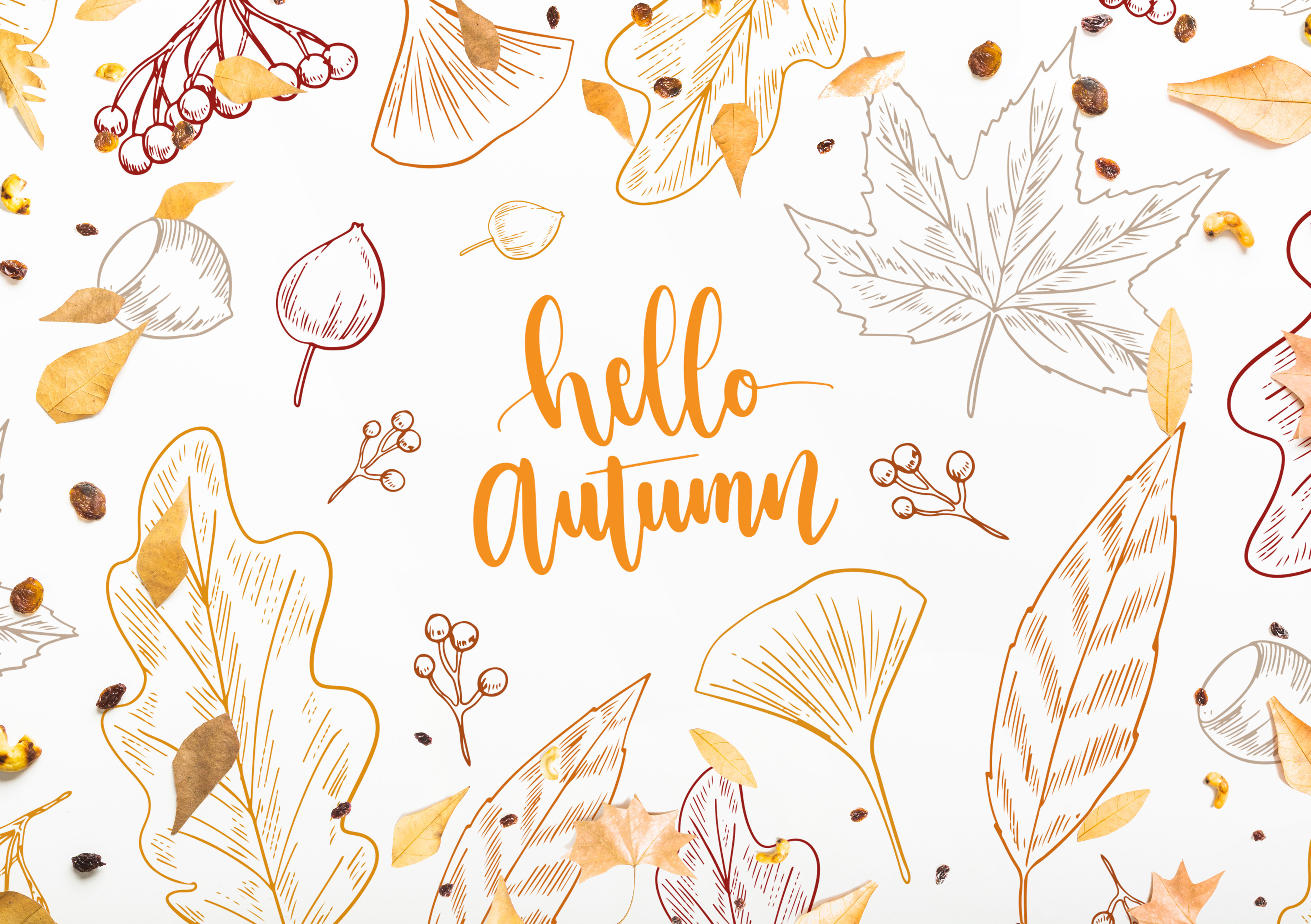 Rouladendekor Herbst "hello autumn"