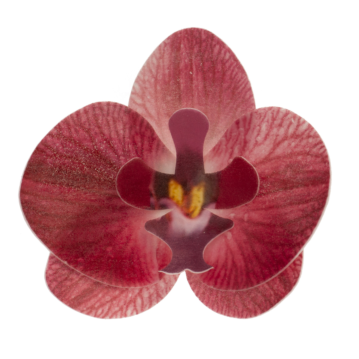 Blumen Orchidee burgund rot Oblate | 10 Stk.