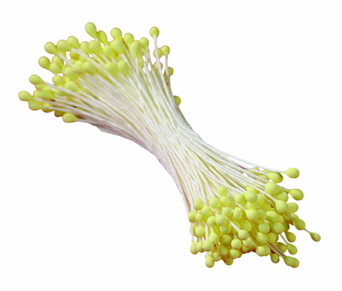 Blütenpollen ivory