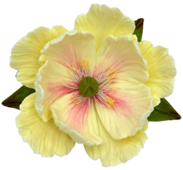 Zuckerblumen-Bouquet Pfingstrose 