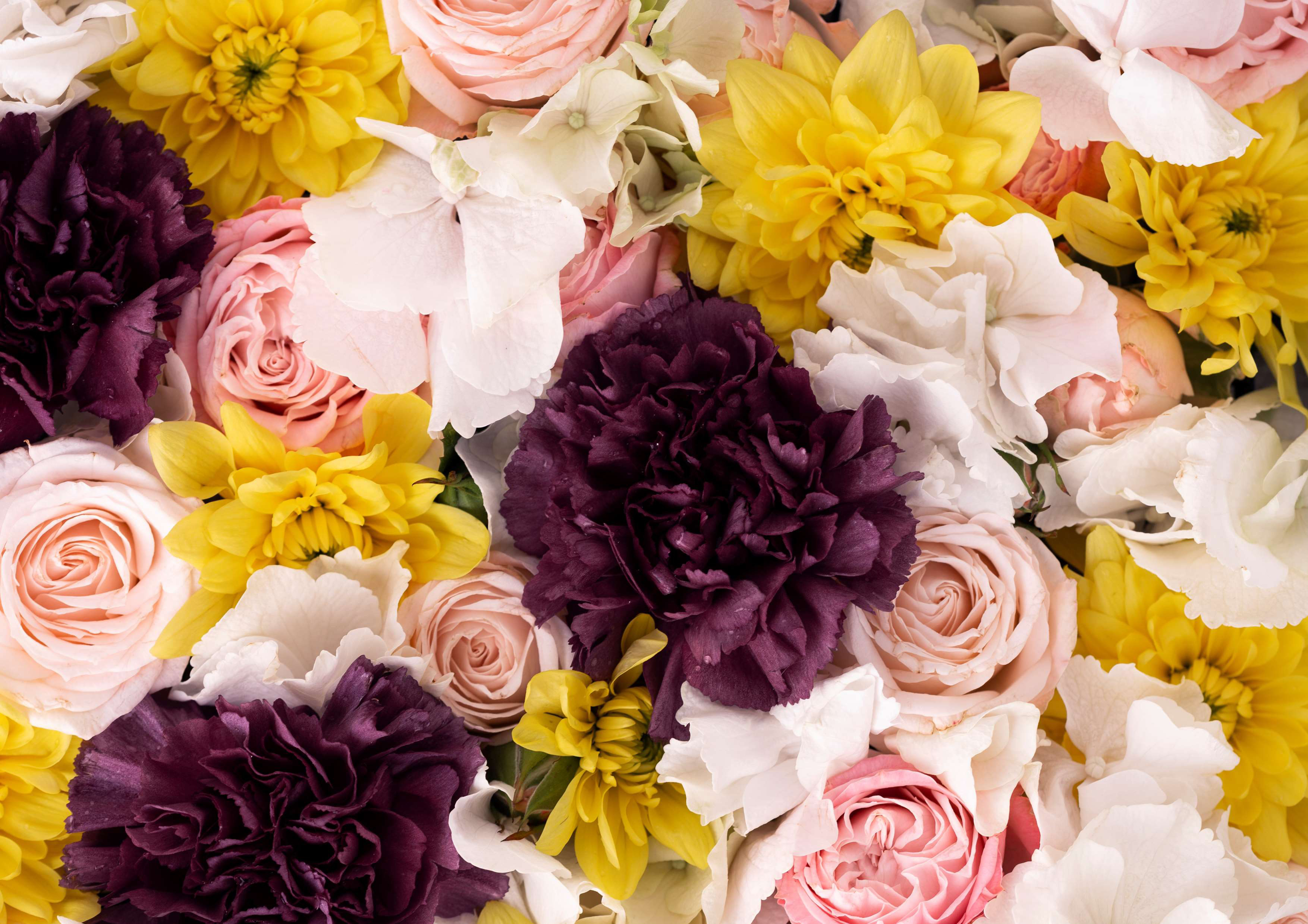 Deko Fondant Blumen