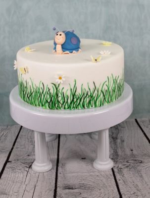 Rollfondant Basiskurs  