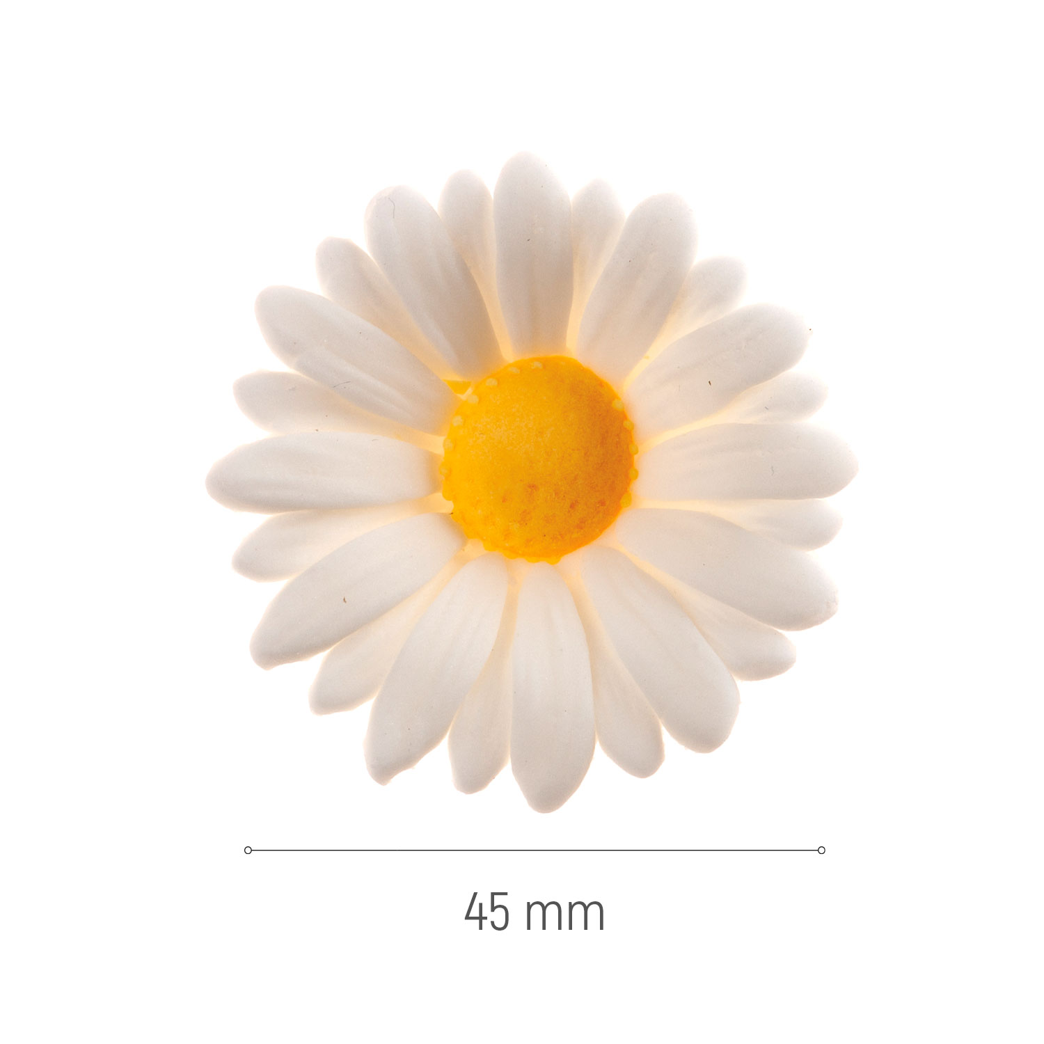 Zuckerblumen Gänseblümchen – Ø 4,5 cm