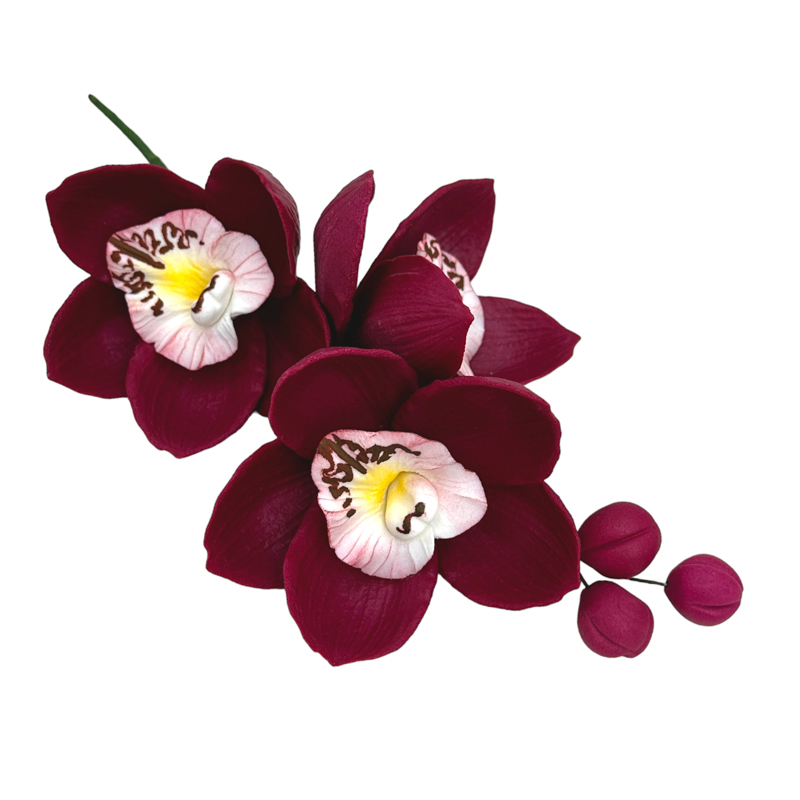 Zuckerblumen Orchidee Bordeaux – Essbare Tortendekoration