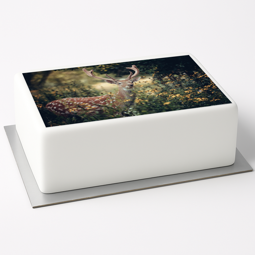 Tortenaufleger Hirsch