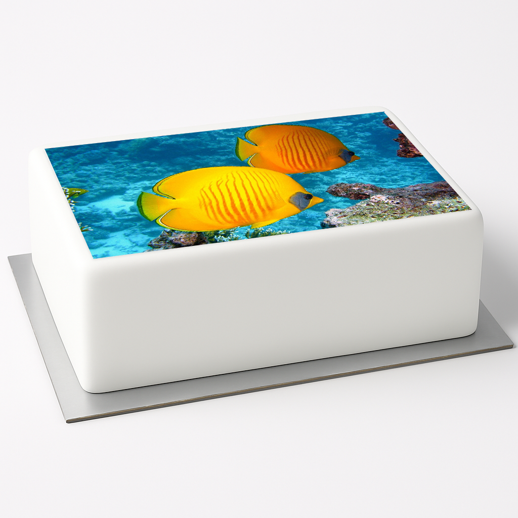 Tortenaufleger Fische / Unterwasserwelt