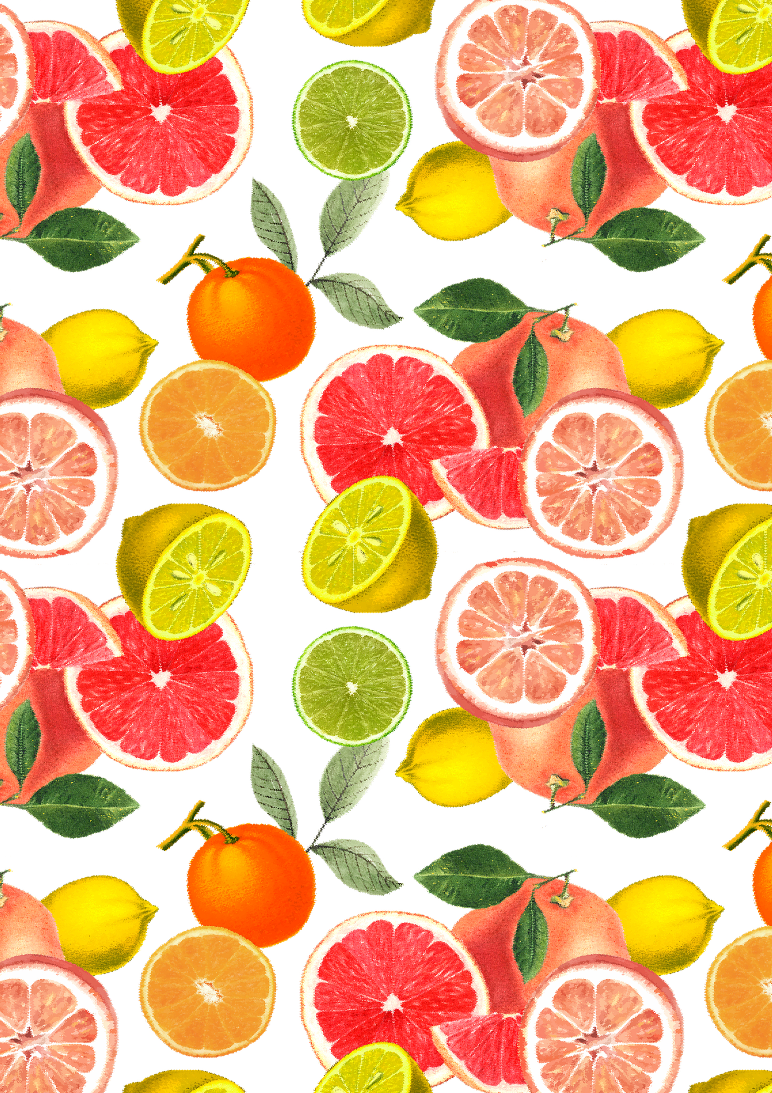 Wafer Paper / Oblatenpapier  Zitrusfrüchte