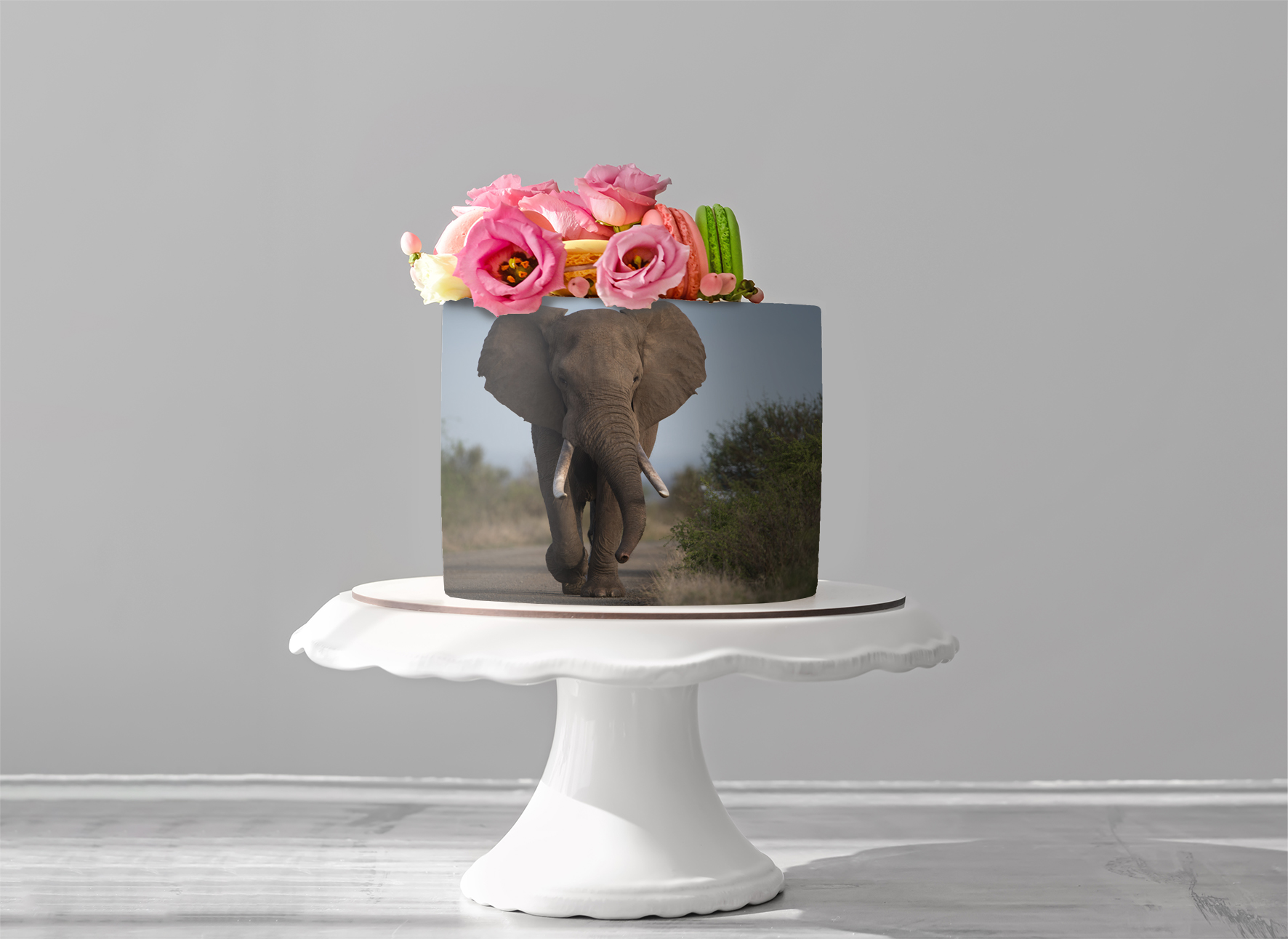 Deko Fondant Elefant