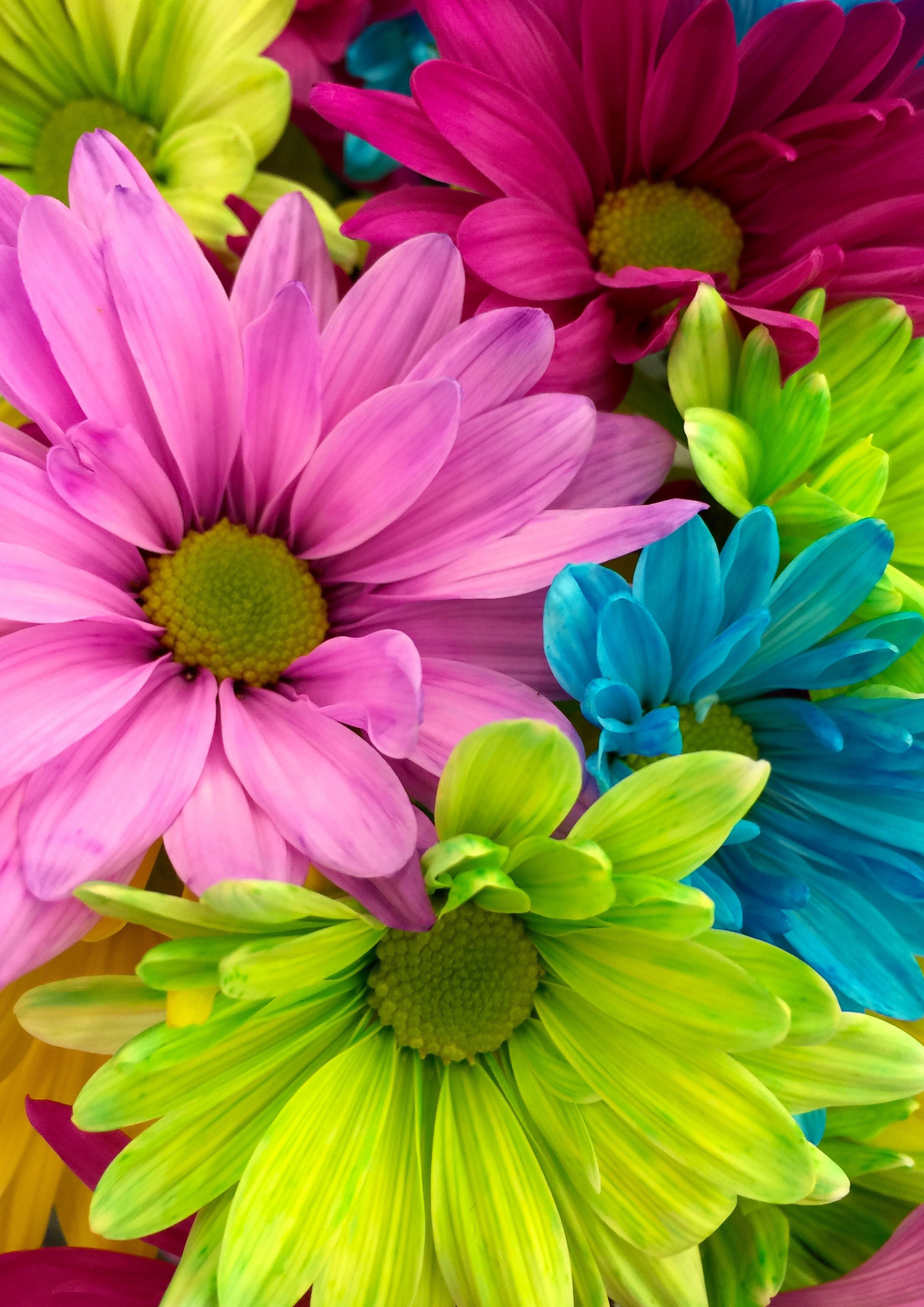 Deko Fondant Blume