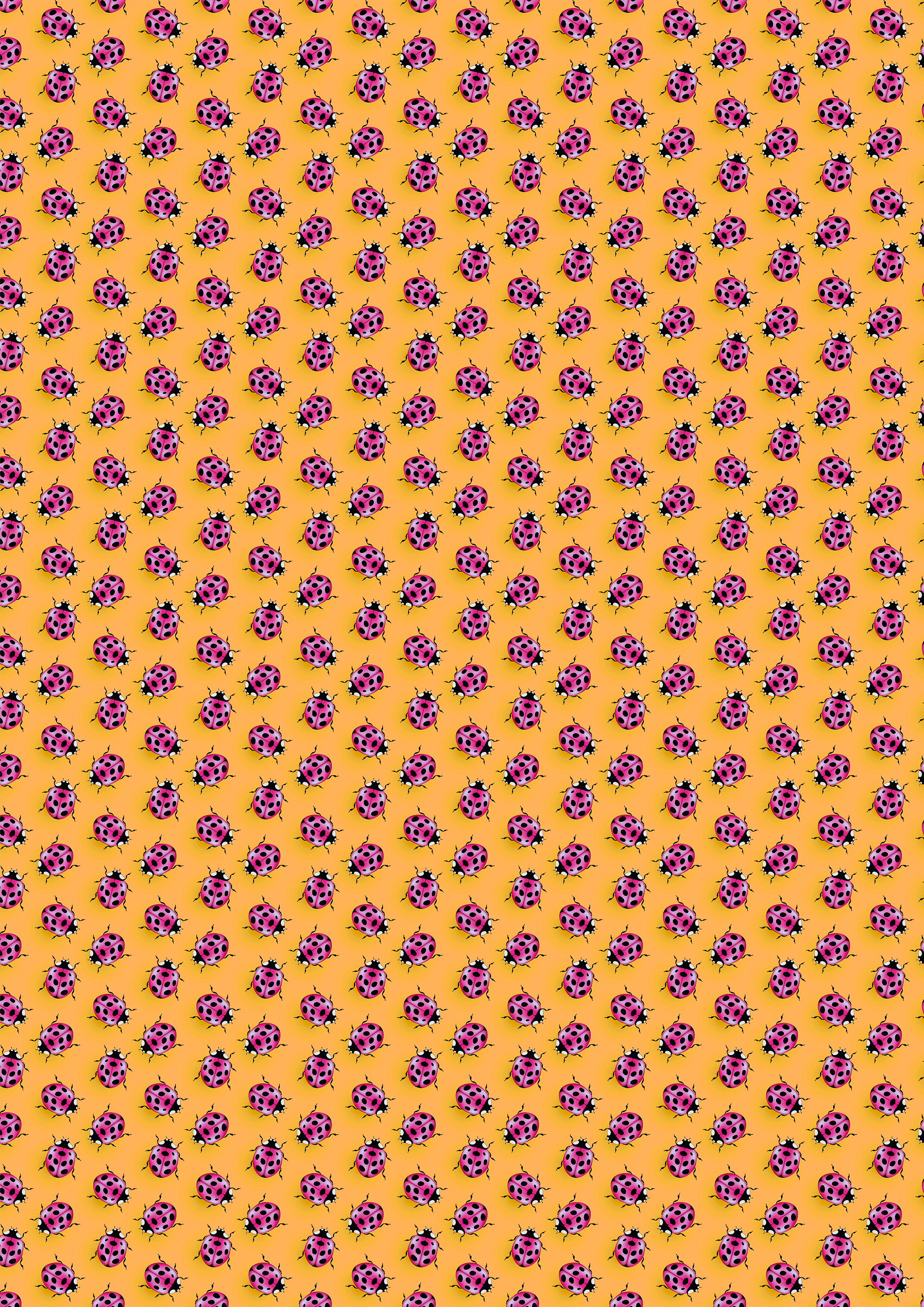 Schokoladen Transferfolien Marienkäfer