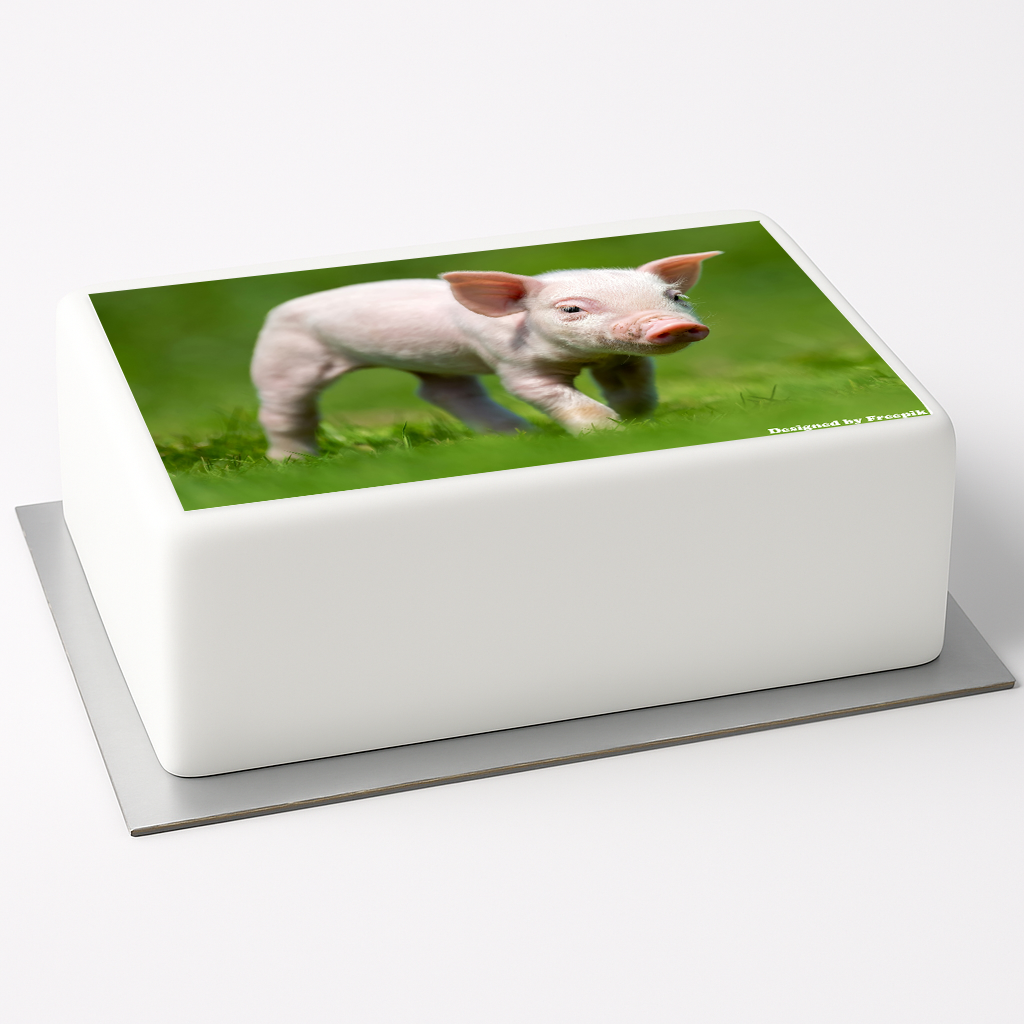 Tortenaufleger Schwein