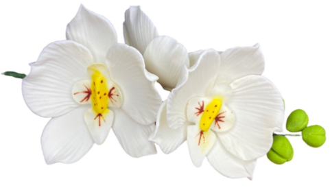 Zuckerbouquet Orchideen
