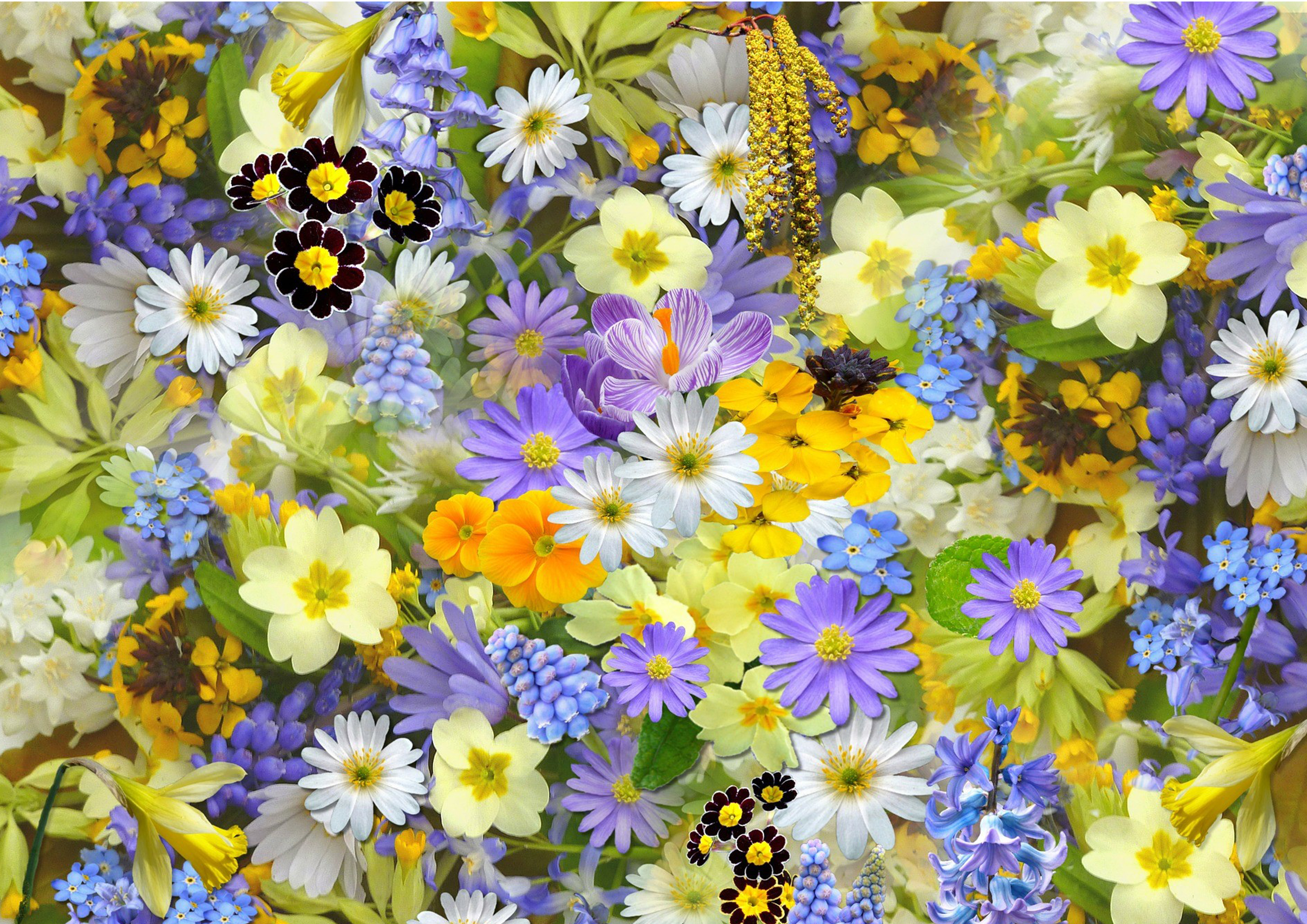 Deko Fondant Blumen