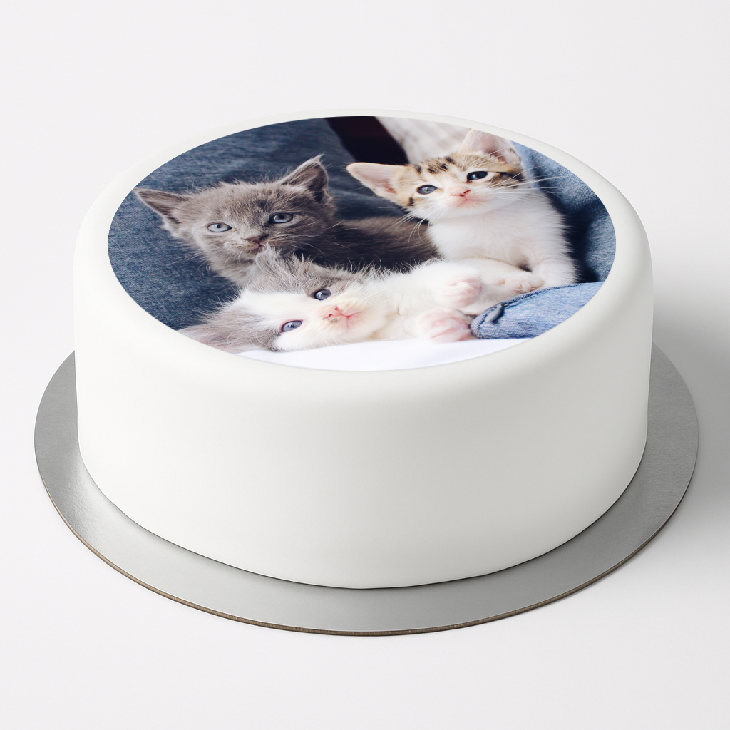 Tortenaufleger Katzen