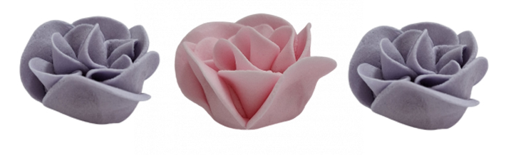 Zuckerblumen Balsamine rosa/lila 3er Set