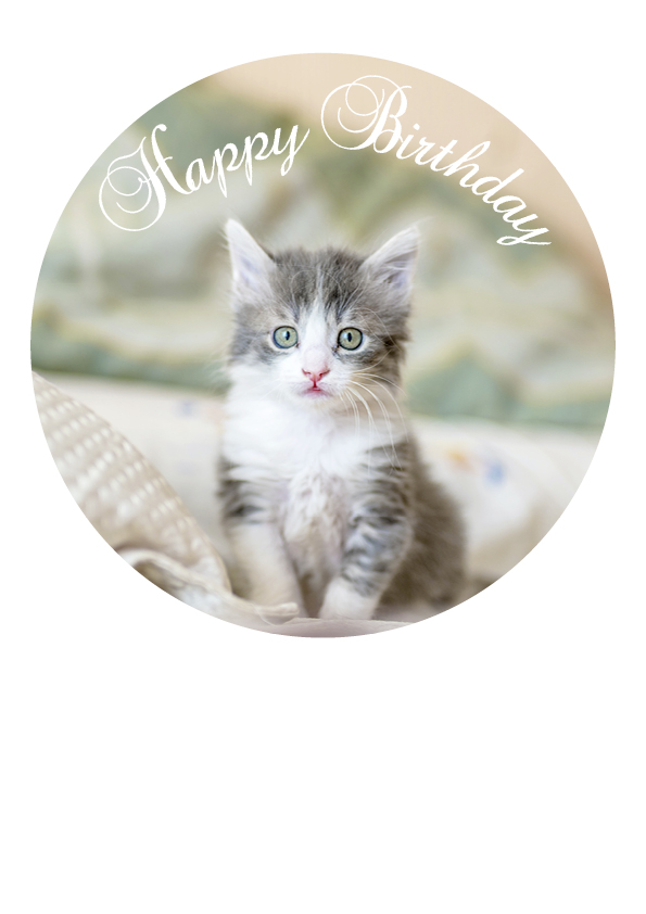 Tortenaufleger Katze "Happy Birthday"