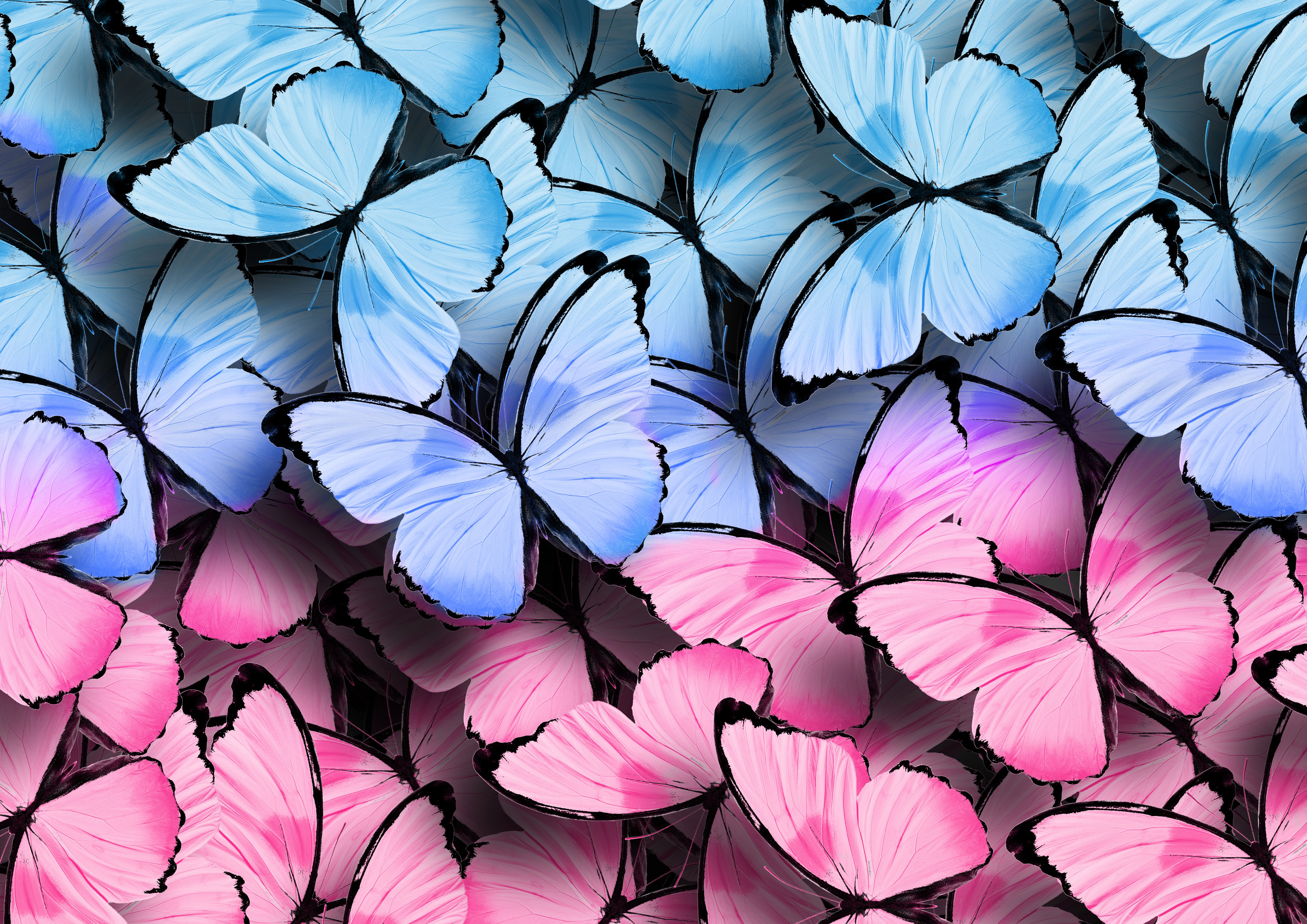 Deko Fondant  Schmetterlinge