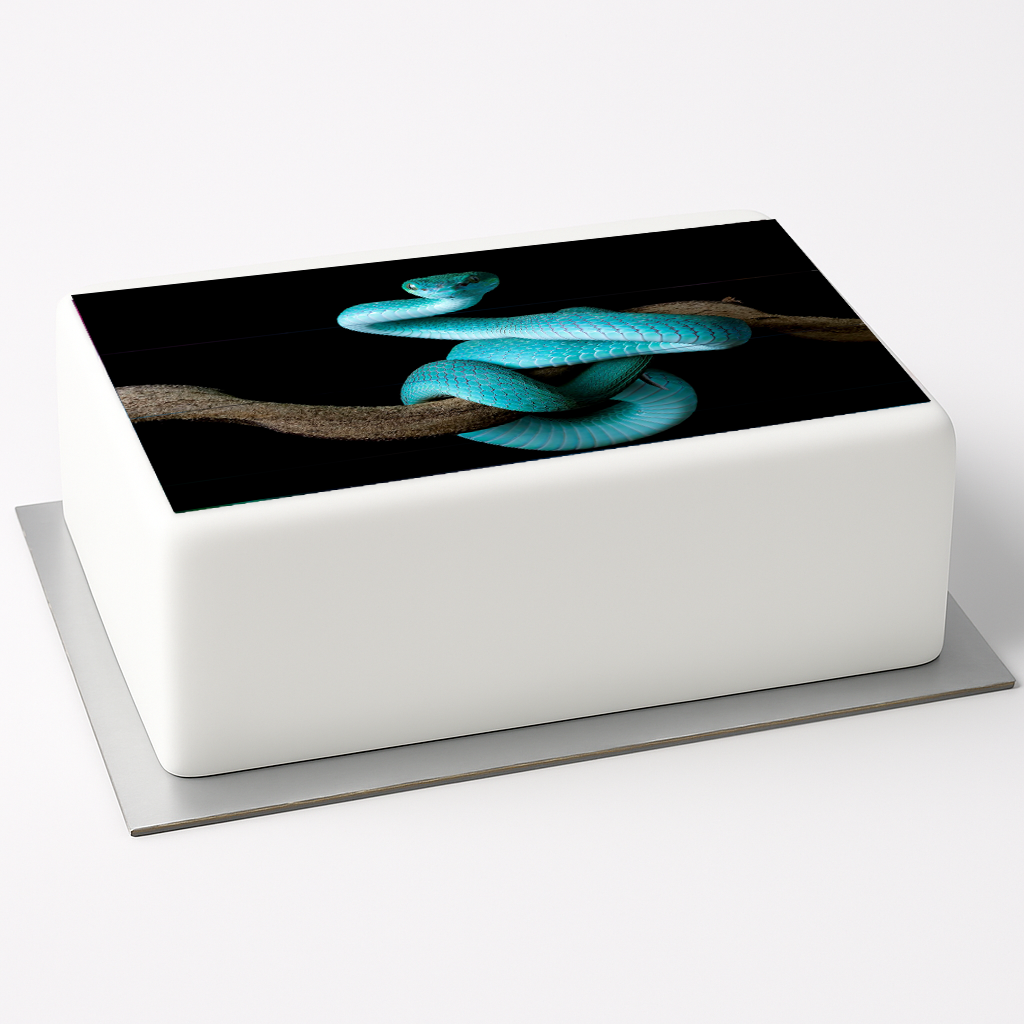 Tortenaufleger Schlange