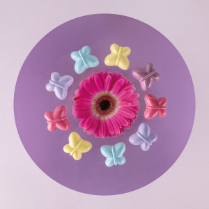 Martellato Mariposa Pralinenform Schmetterling aus Polycarbonat für Schokolade 24 Mulden