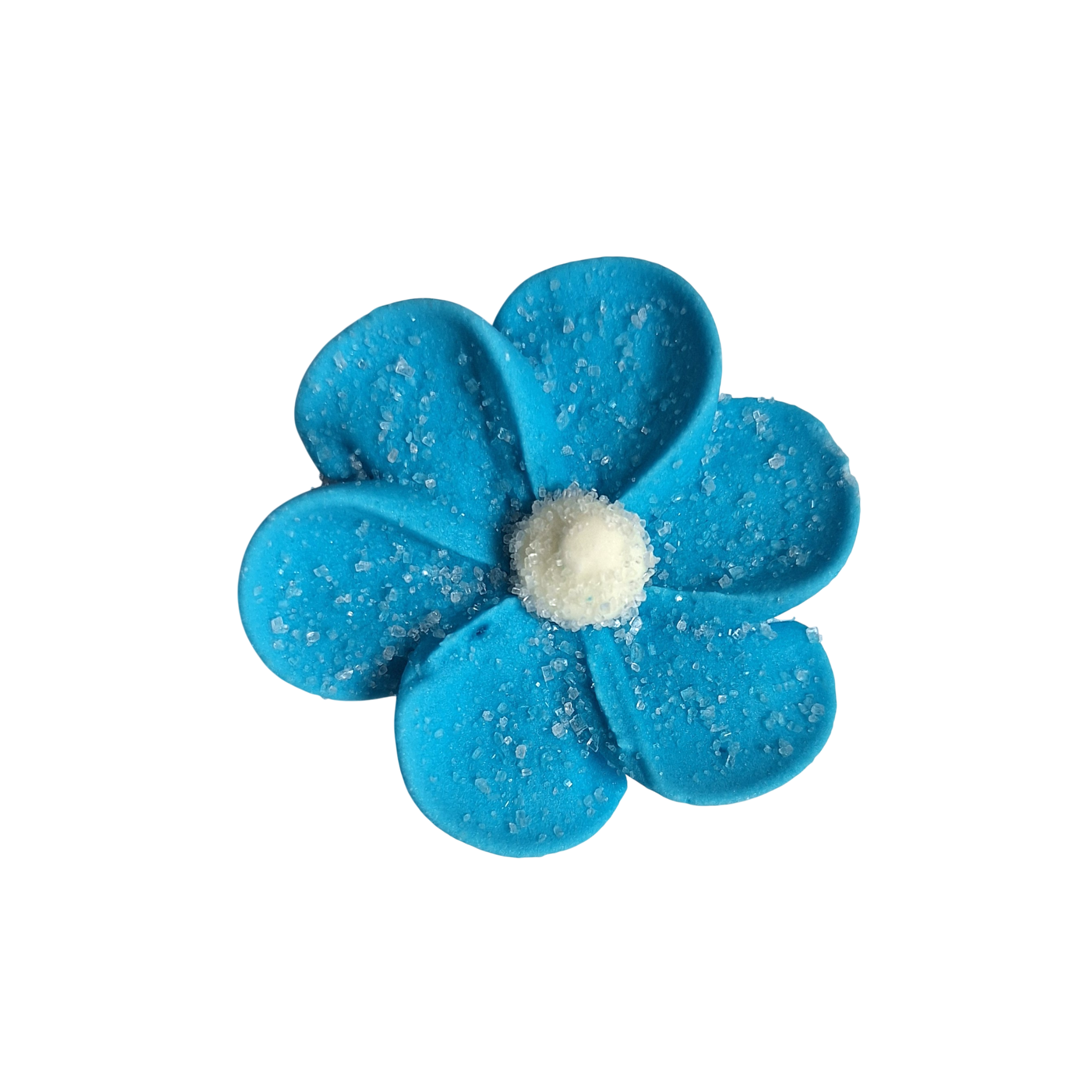 Zuckerblumen Anemonen BLAU –  6er Set – Ø 5 cm