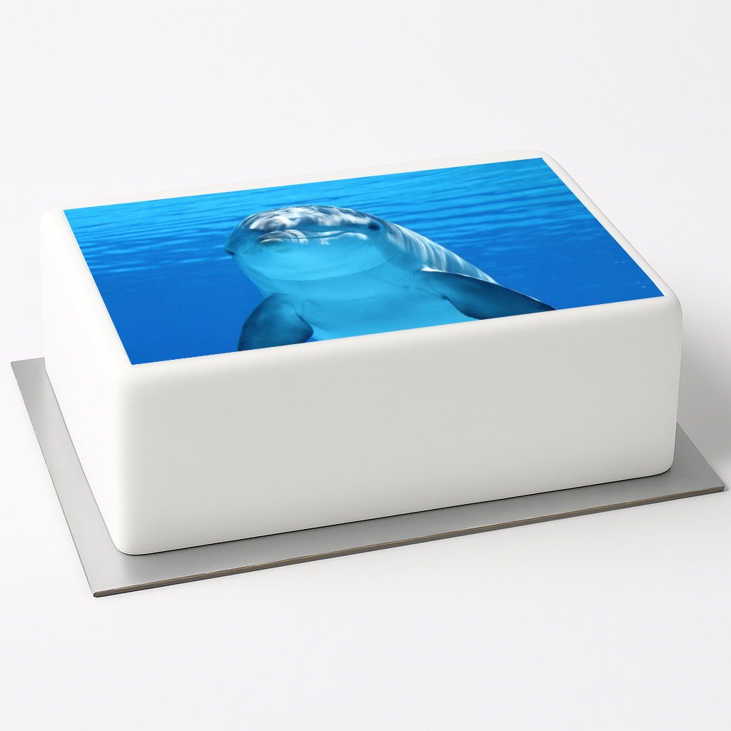 Tortenaufleger Delfin
