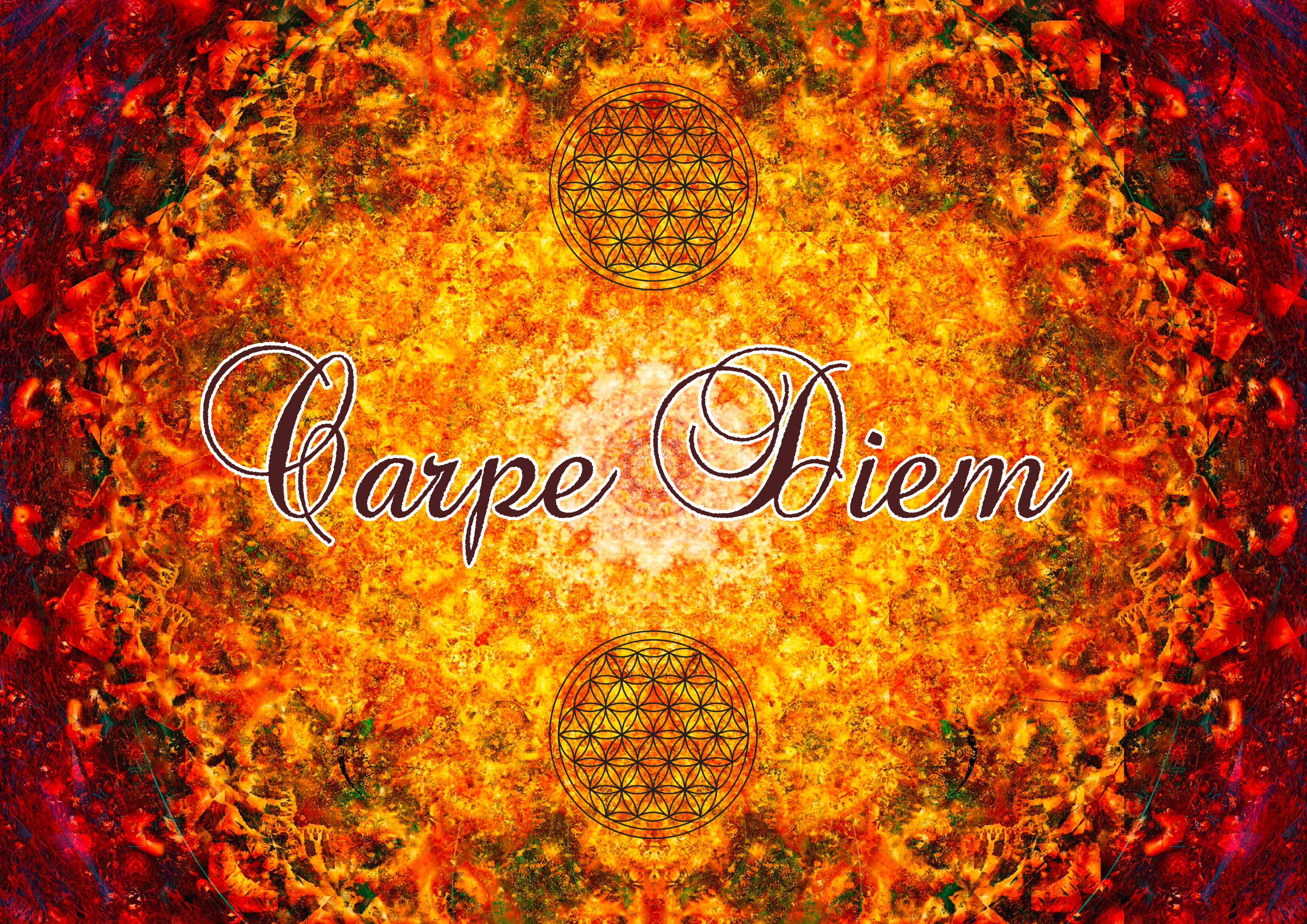 Rouladendekor "Carpe Diem"