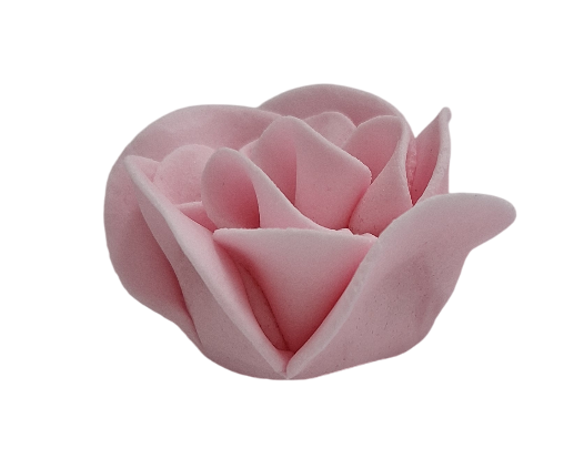 Zuckerblumen Balsamine / hell rosa / 3er Set