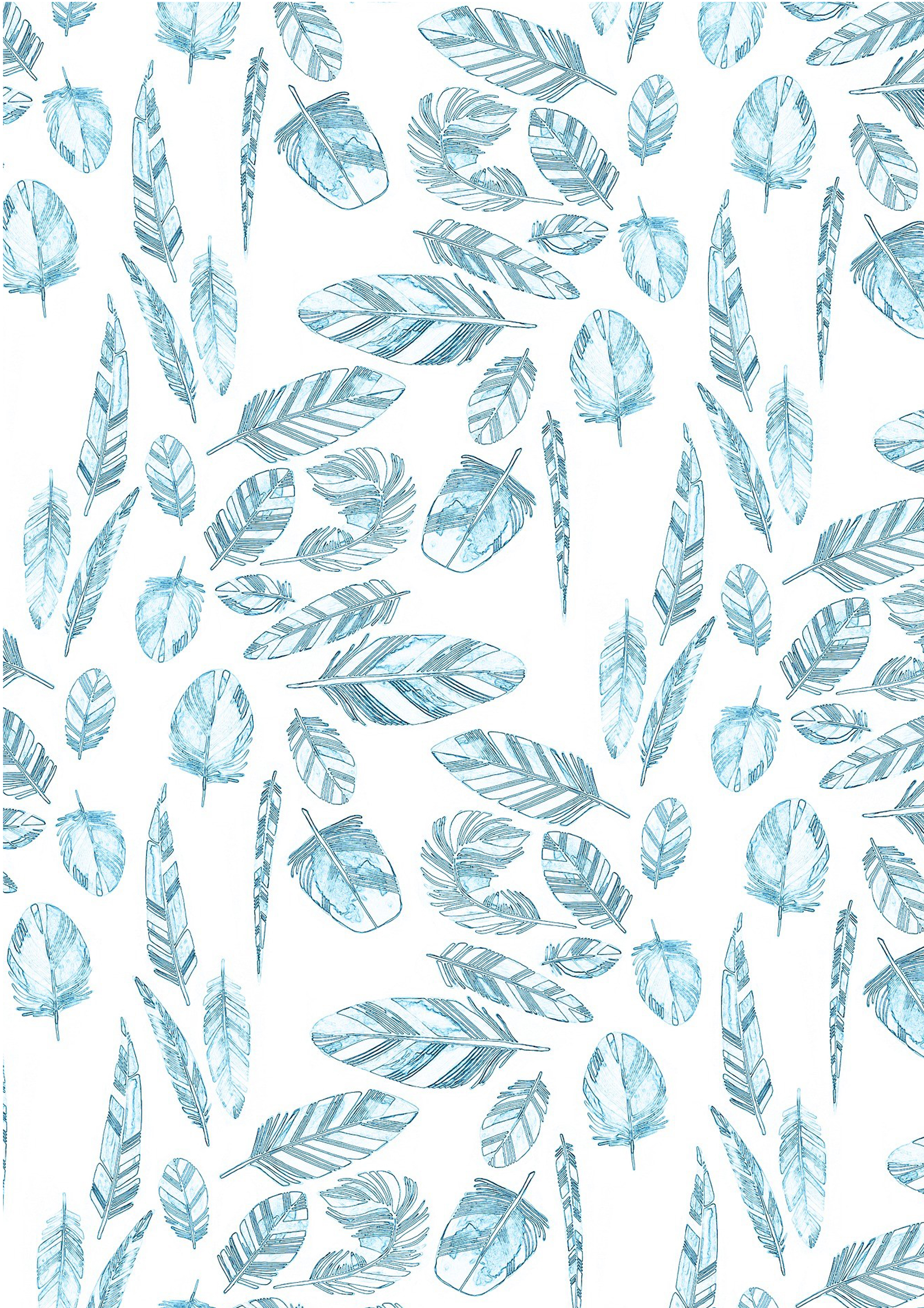 Wafer Paper / Oblatenpapier  Federn