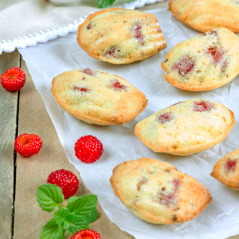 Mini Bärentatzen / Madeleines 