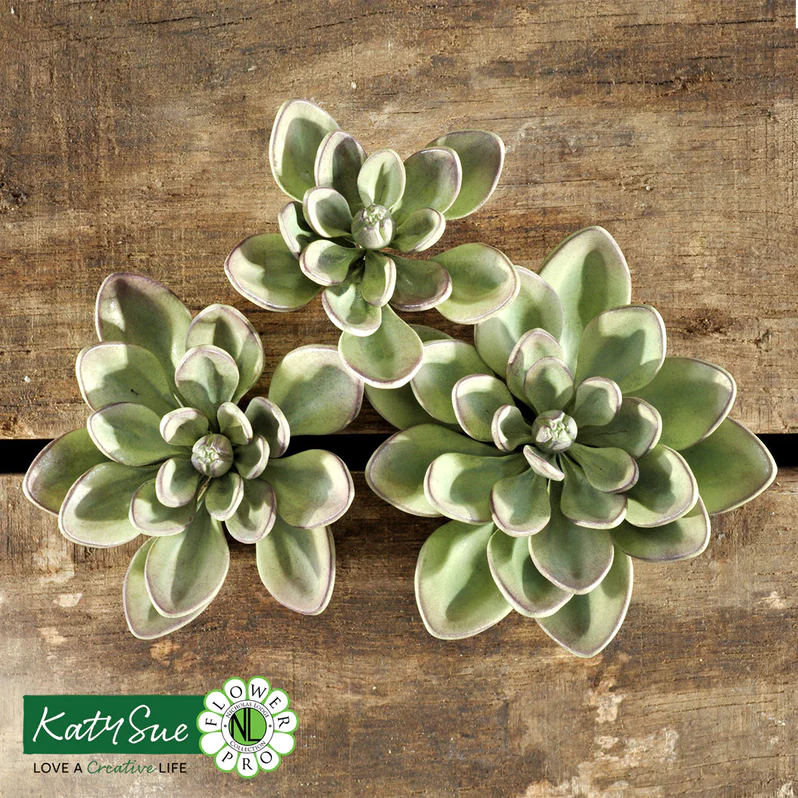 Silikonform Succulenten