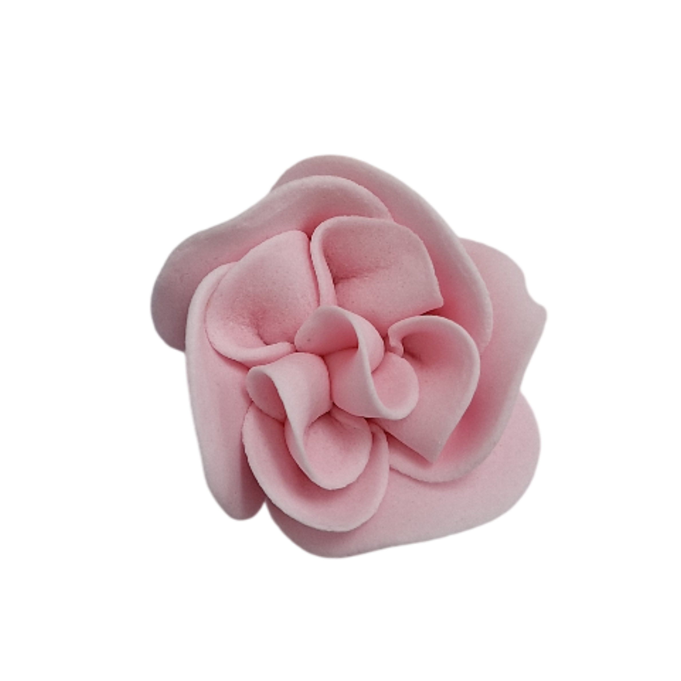 Zuckerblumen Balsamine / hell rosa / 3er Set