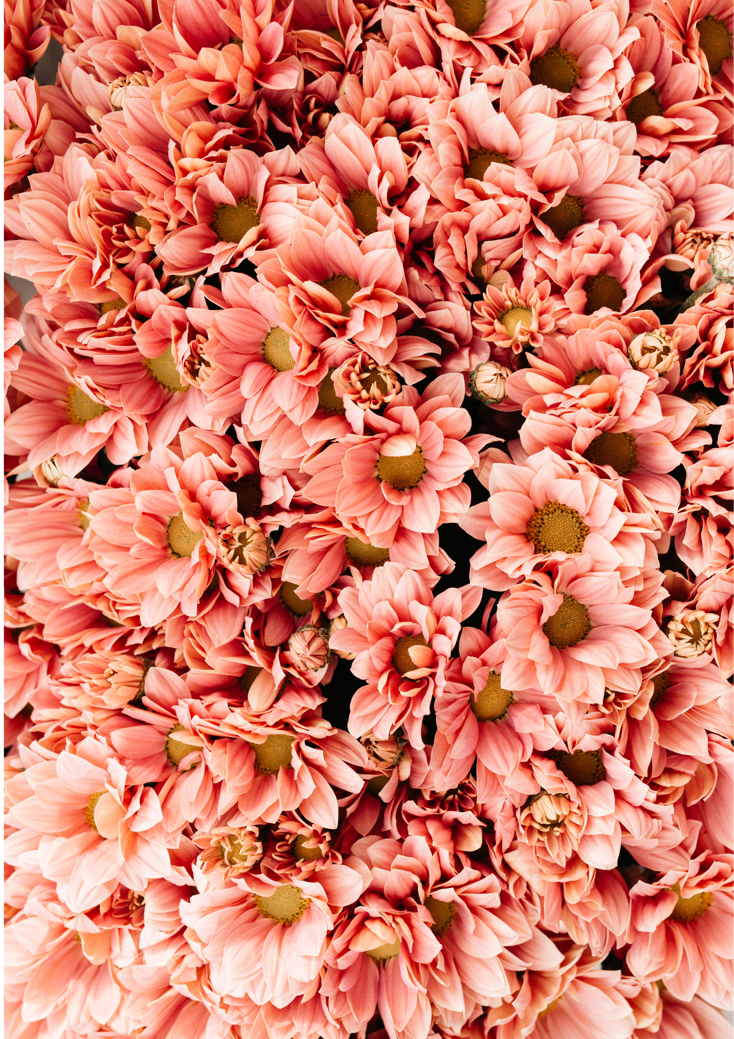 Deko Fondant Blumen
