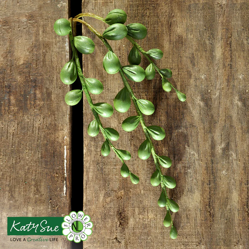 Silikonform Succulenten