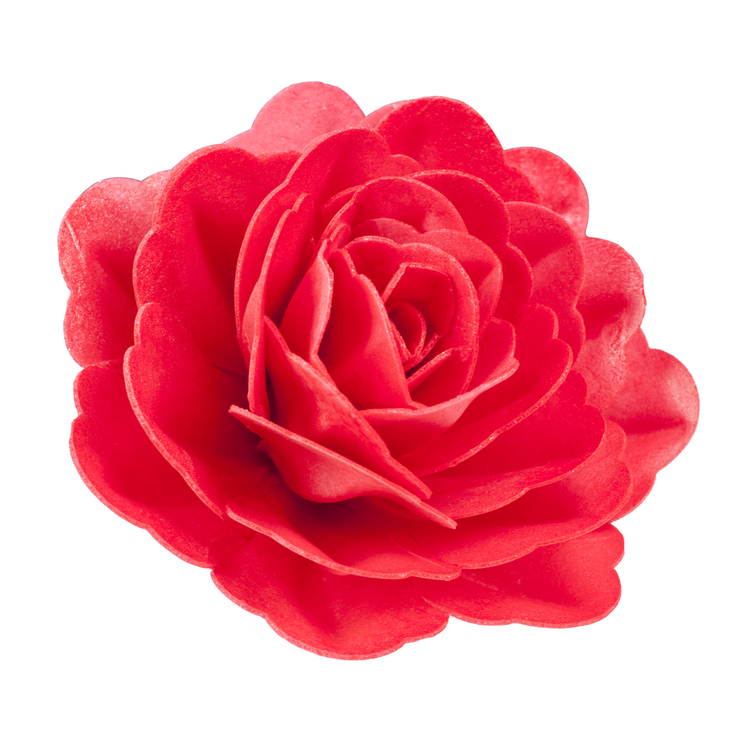 Wafer Paper Rose rot 12,5cm