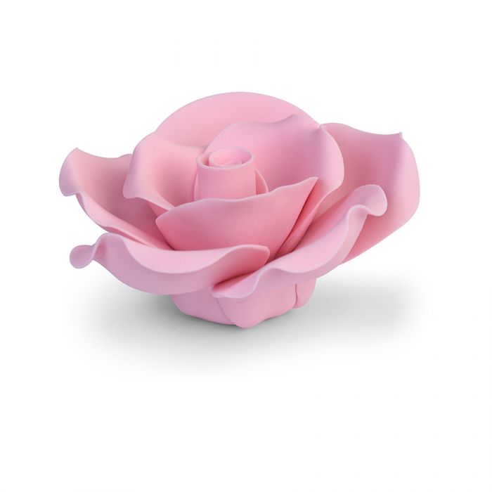 Zuckerblume Rose rosa groß