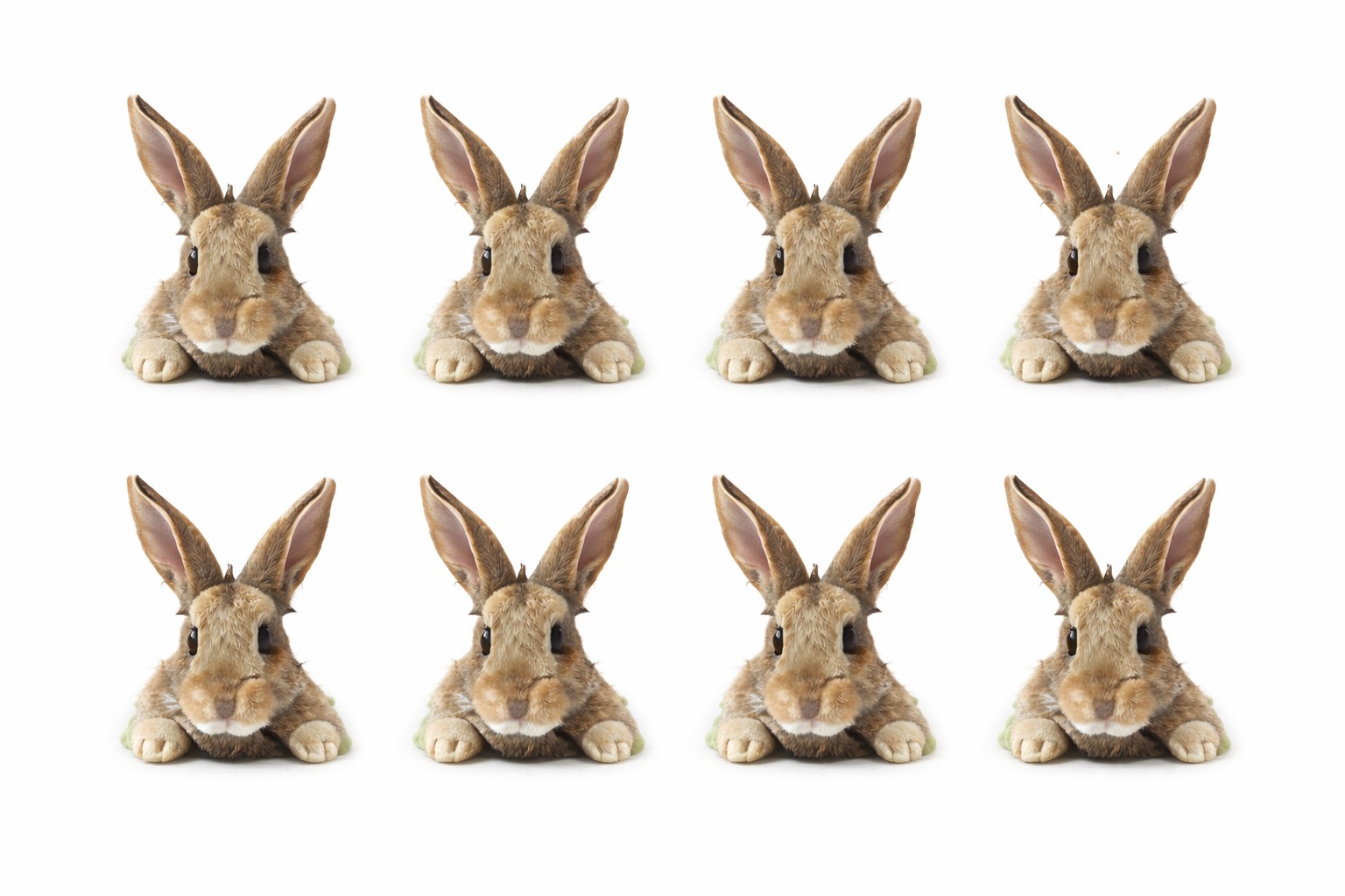 Fondantaufleger Hasen 8 tlg. Set 