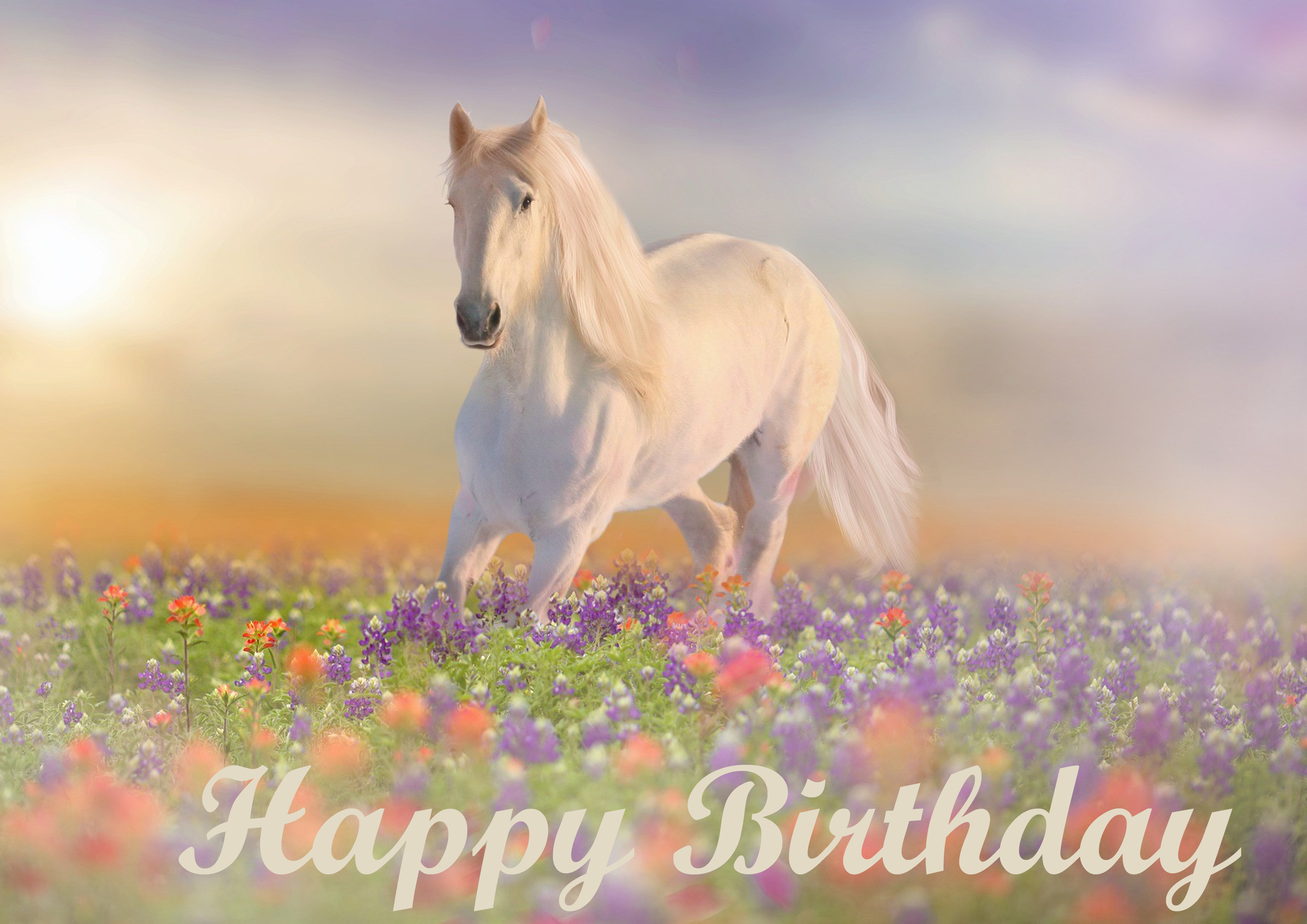Tortenaufleger Happy Birthday Pferd