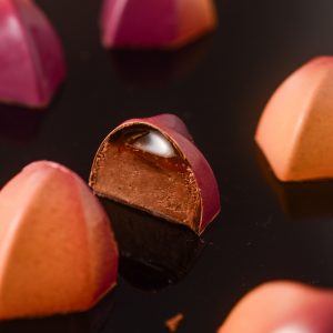 Pralinengussform "Pod" 21MA1072 