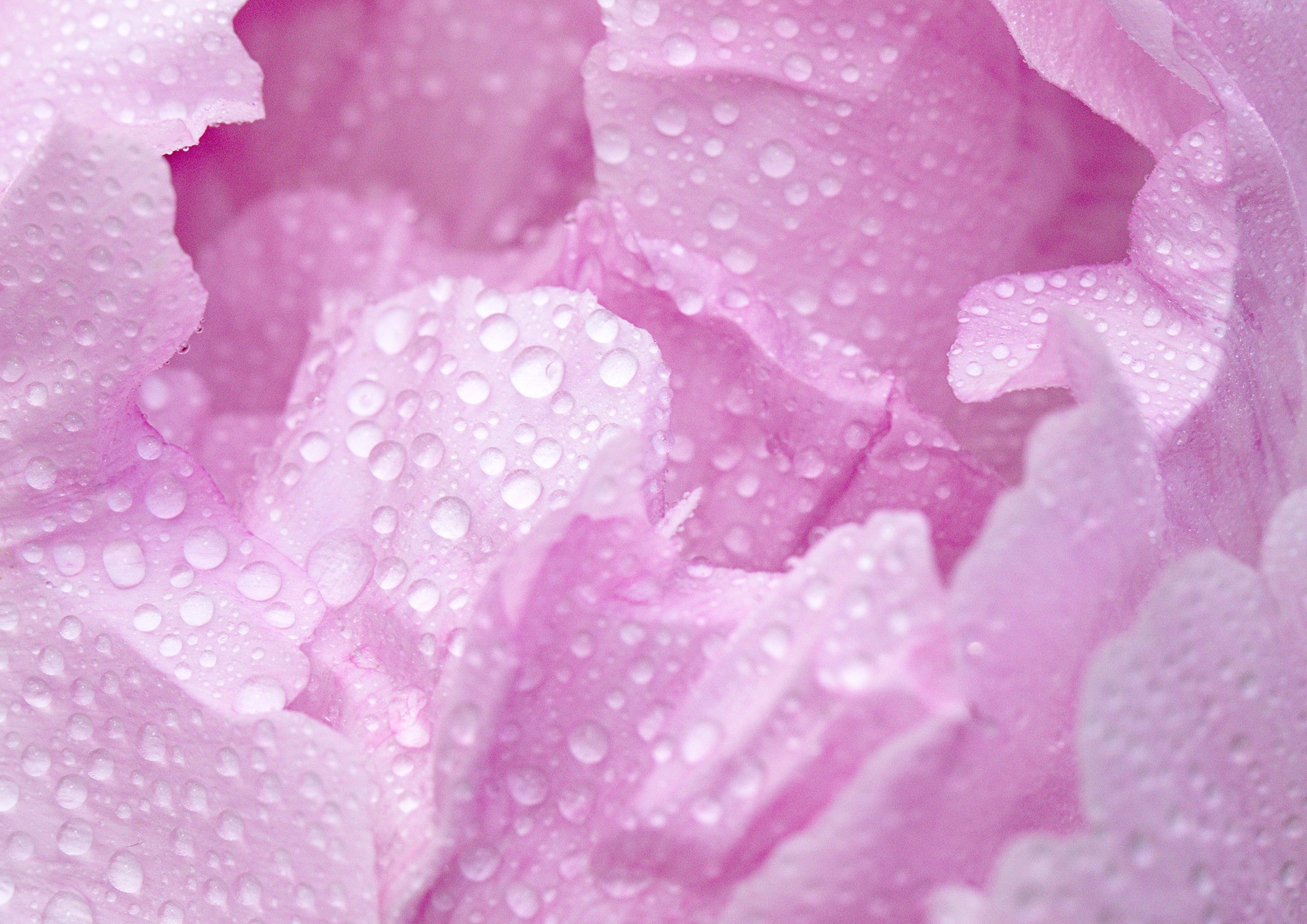 Deko Fondant Blume