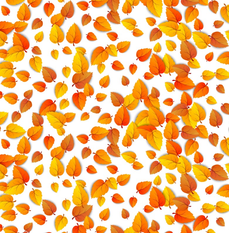 Schokoladen Transferfolie Abziehfolie Herbstblätter
