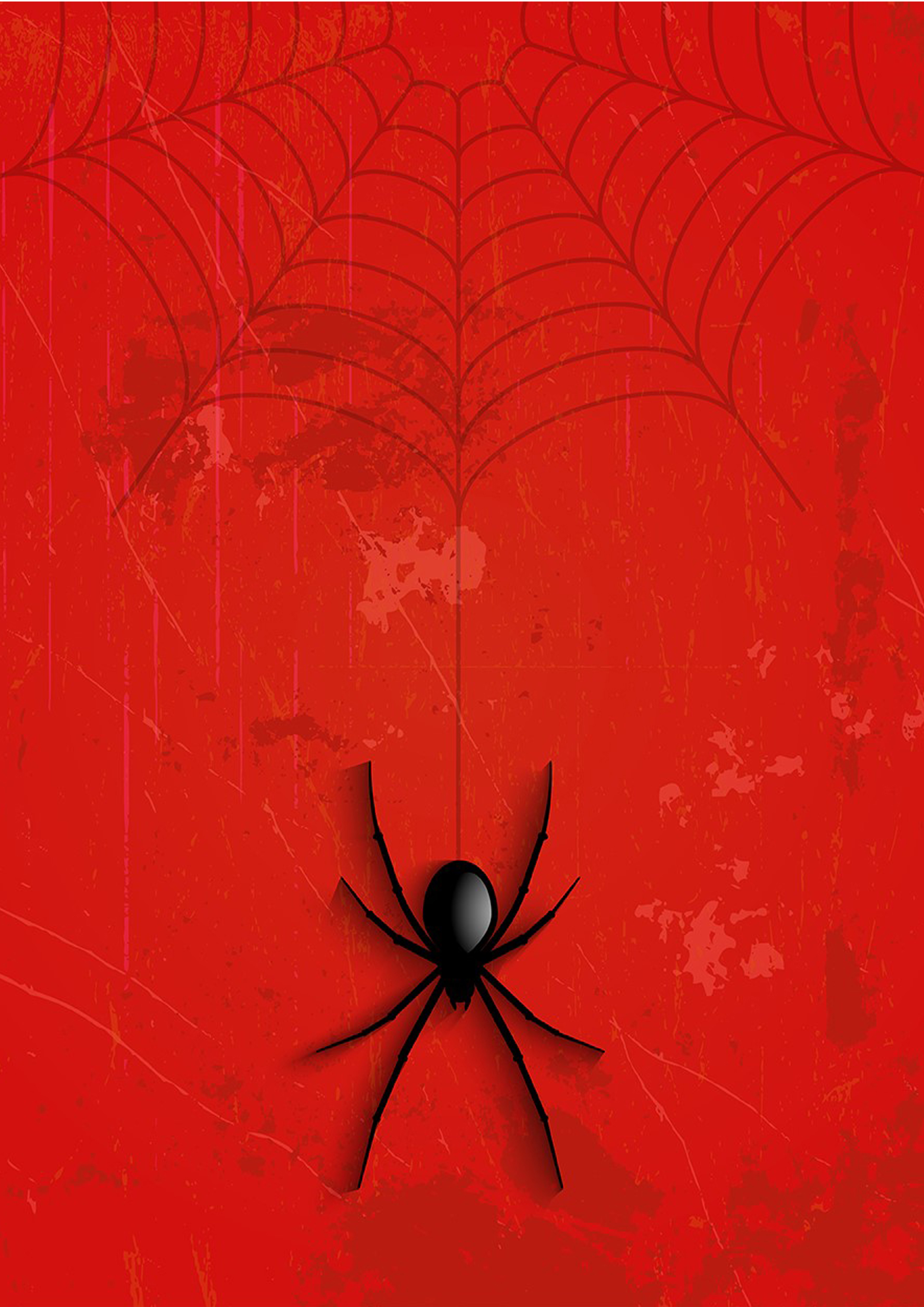 Rouladendekor Spider