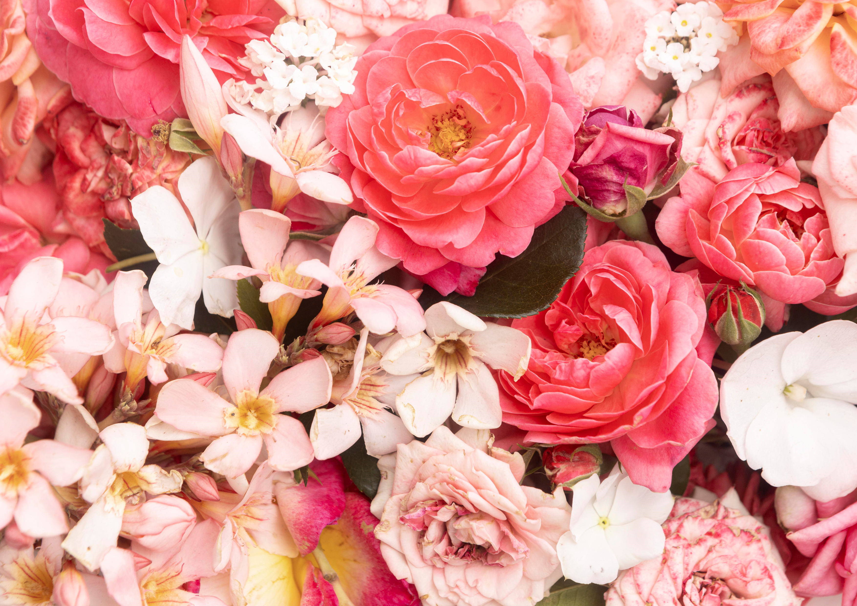 Deko Fondant Blumen