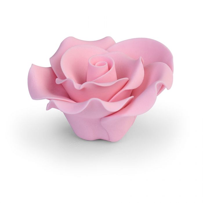 Zuckerblume Rose rosa mittel