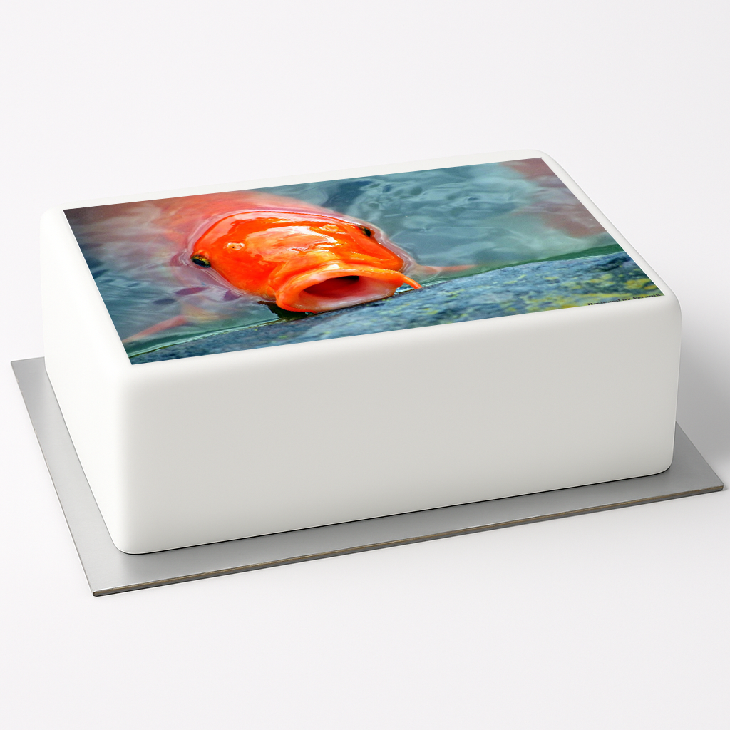 Tortenaufleger Fisch