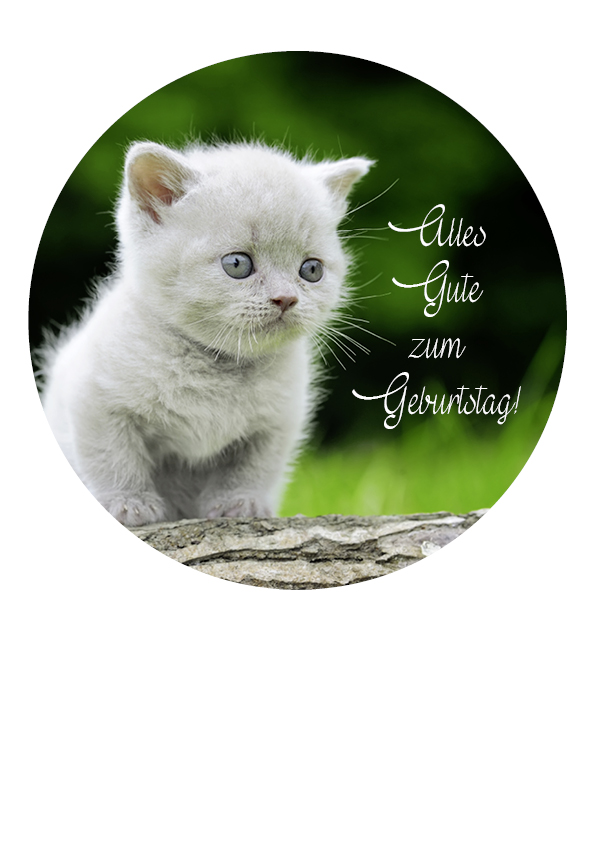 Tortenaufleger Katze "Alles Gute zum Geburtstag"