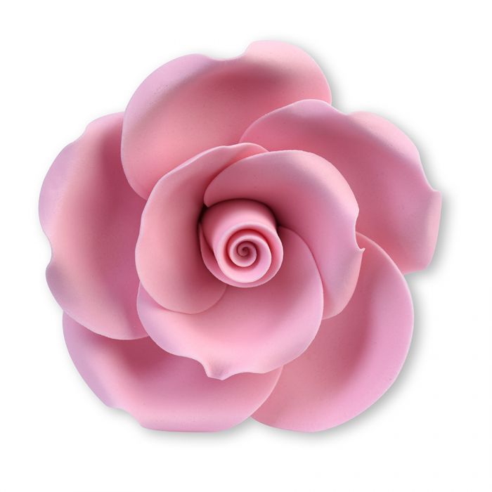Zuckerblume Rose rosa groß
