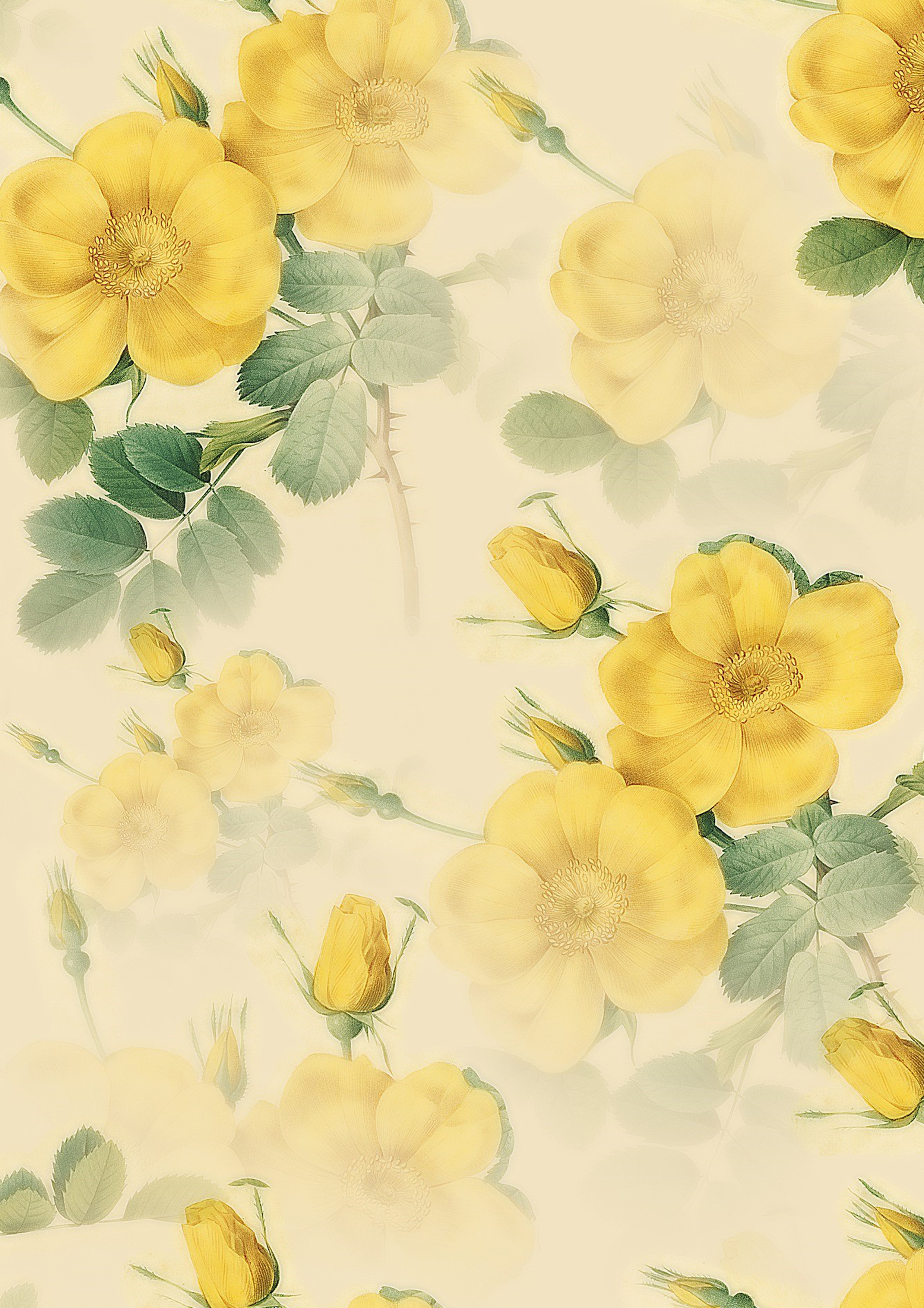 Wafer Paper / Oblatenpapier Blumen