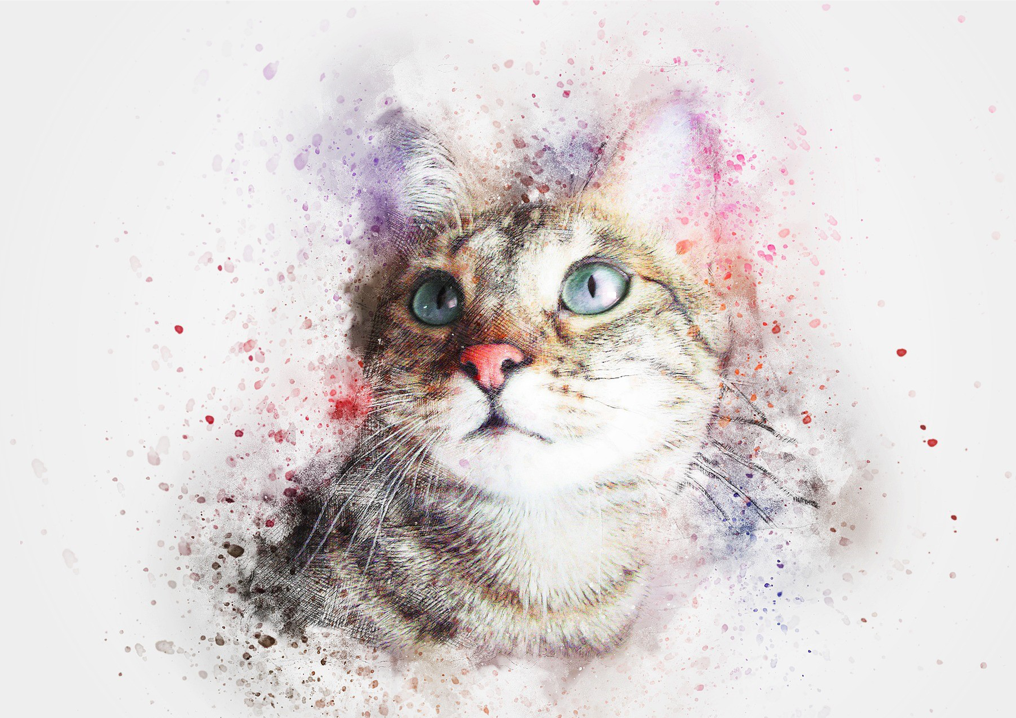 Tortenaufleger Katze