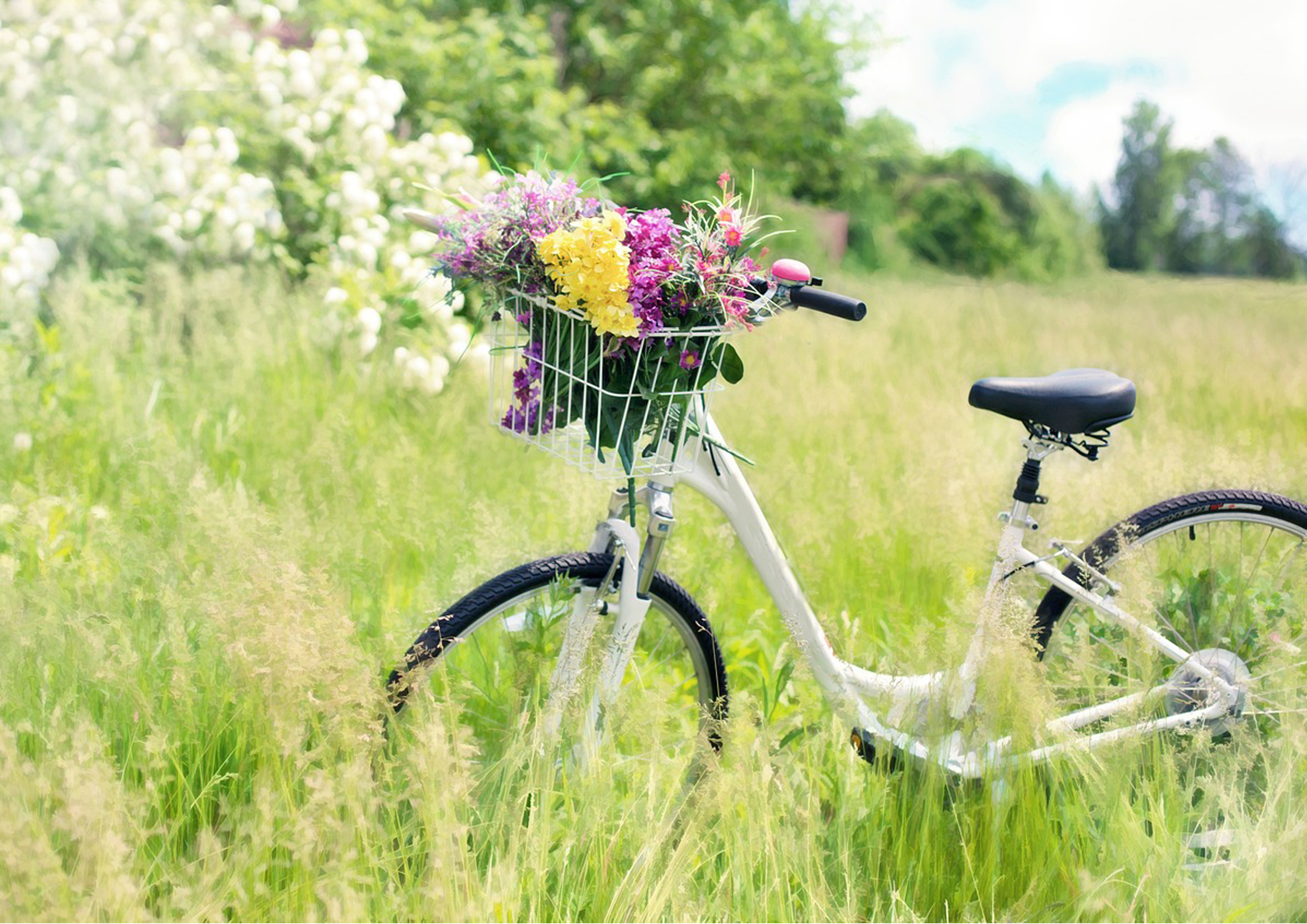 Deko Fondant Fahrrad mit Blumen